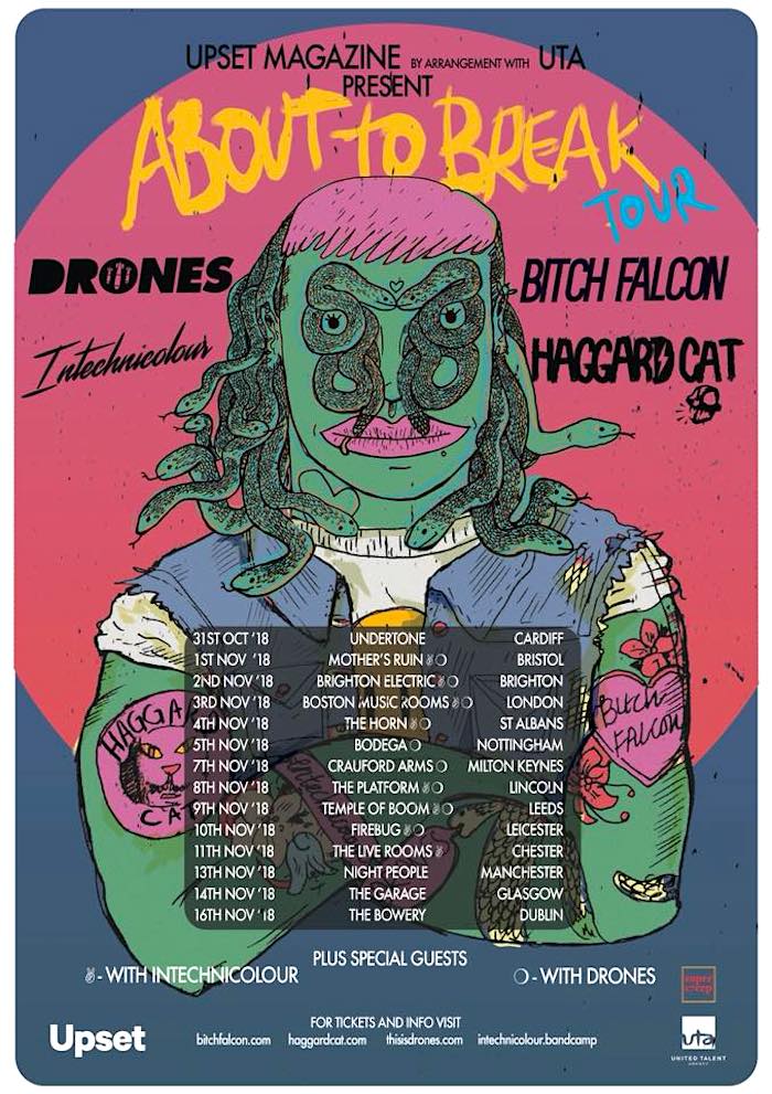 HAGGARD CAT / BITCH FALCON tour poster image